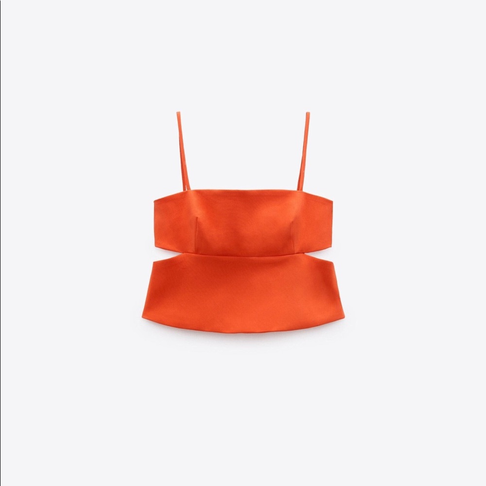Zara Cutout Crop Too